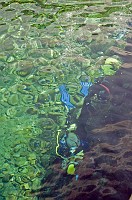  Divers visible under the clear waters of the Roman Bridge