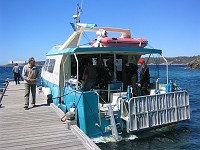  Docked at an island